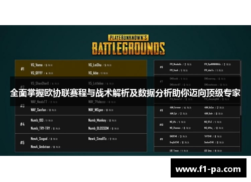全面掌握欧协联赛程与战术解析及数据分析助你迈向顶级专家