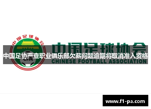 中国足协严查职业俱乐部欠薪问题逾期将取消准入资格