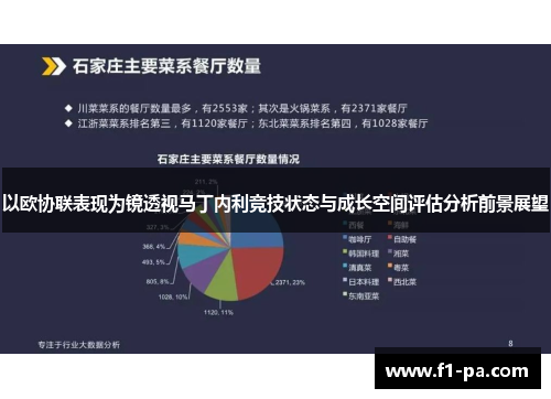 以欧协联表现为镜透视马丁内利竞技状态与成长空间评估分析前景展望