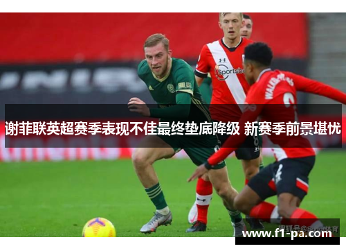 谢菲联英超赛季表现不佳最终垫底降级 新赛季前景堪忧 谢菲联英超赛季表现不佳最终垫底降级 新赛季前景堪忧